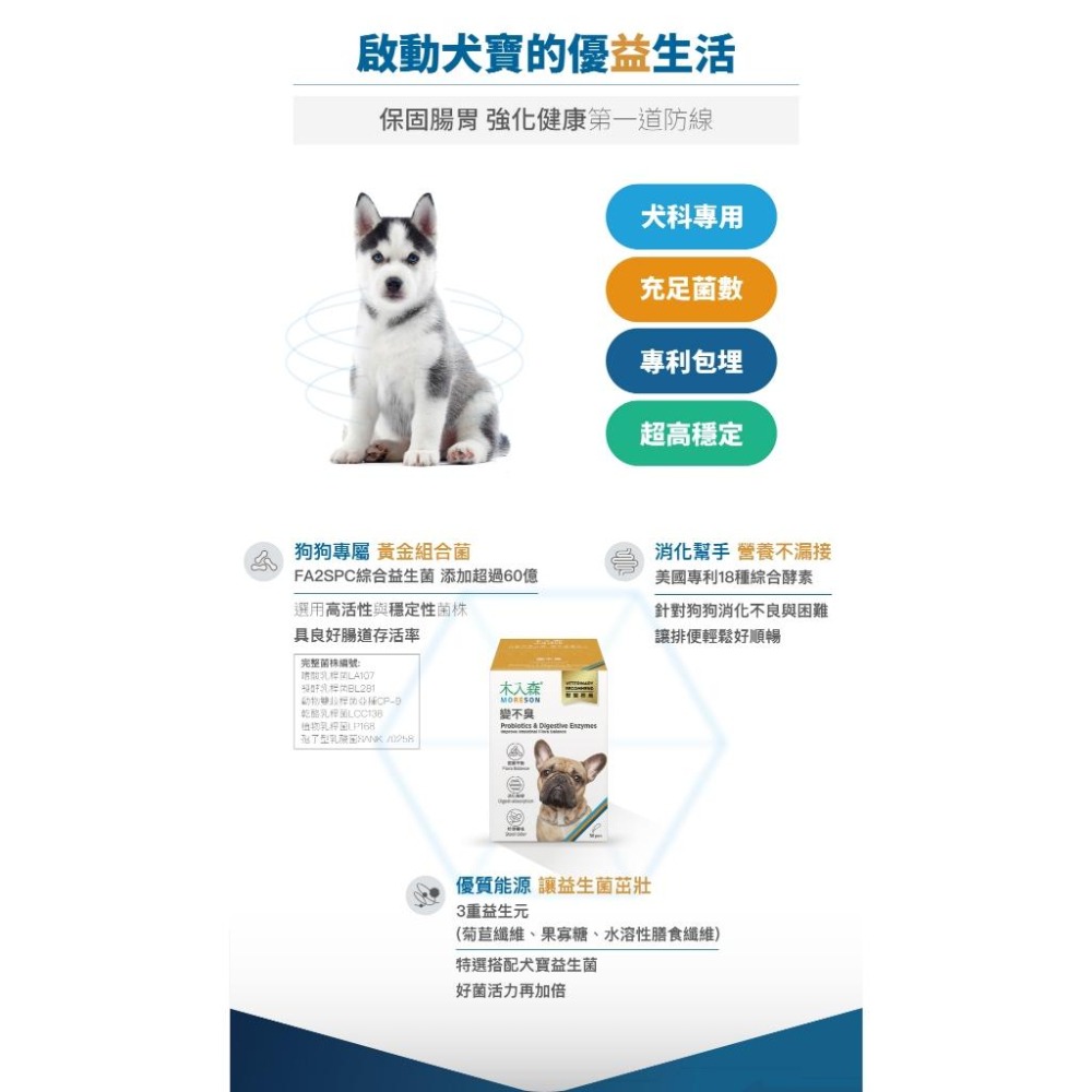 【木入森】犬寶變不臭 ｜15包｜30包｜狗狗腸胃益生菌｜寵物益生菌｜幫助狗消化吸收 減少排便異味-細節圖8