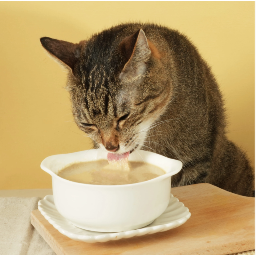 【汪喵星球】 益菌PRO+ 綿密肉泥 主食罐 80g 主食罐 無膠 貓罐 貓主食 【單罐】-細節圖11