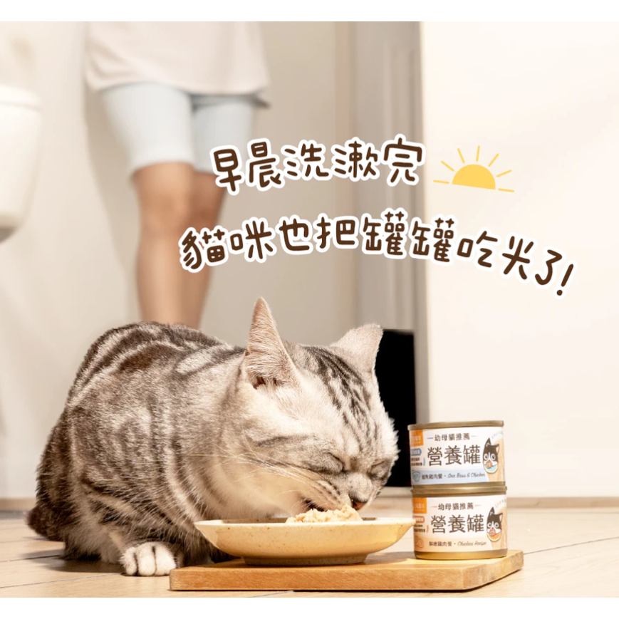 【汪喵星球】幼母貓98%營養無膠主食罐  幼貓罐 幼貓 貓主食 無膠 【單罐80G&165G】-細節圖10
