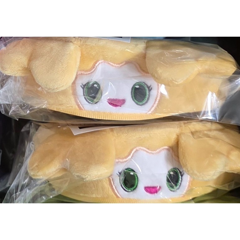 🍭現貨&預購(8月初到貨) | THIS IS FOR 日本場周邊 手燈套 掛繩-規格圖2
