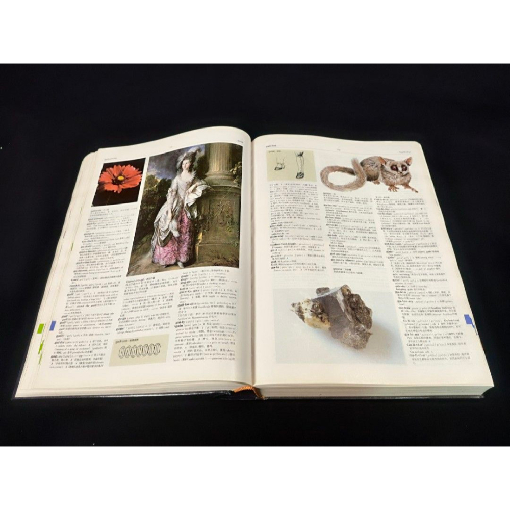 二手老藏書 - 2000年牛津當代大辭典/旺文社（文獻研究/ 傳記/人物文學/創作/小說/西洋/科幻/當代/現代/古文/-細節圖6