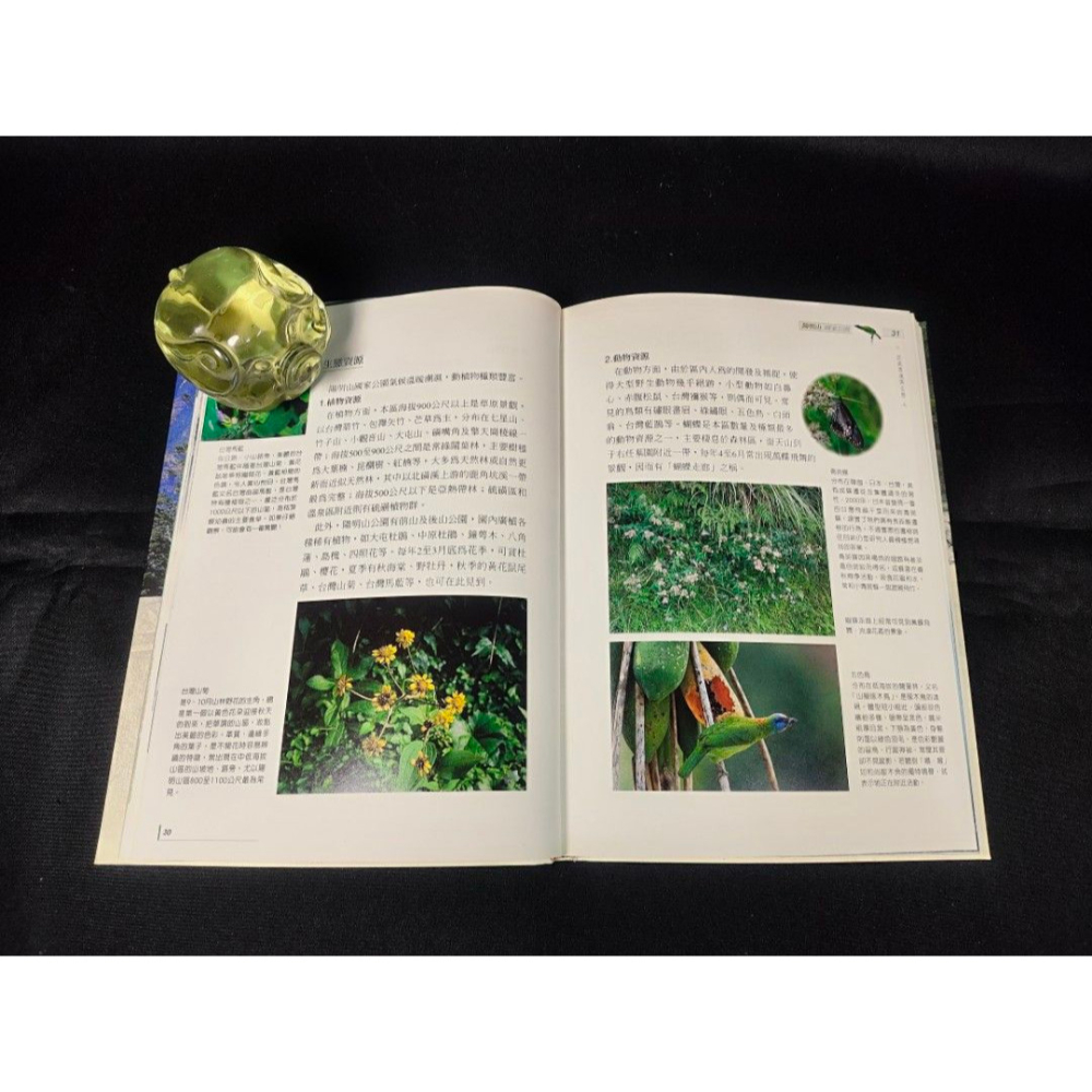 二手書 - 台灣地理百科之台灣的國家公園（文獻研究/ 傳記/人物文學/創作/小說/西洋/科幻/當代/現代/古文/電影/繪-細節圖4