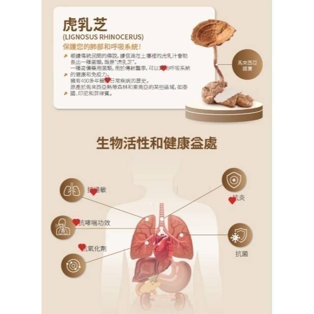 艾多美虎乳芝🍄‍🟫馬來西亞國寶級產品✅保證公司貨-細節圖2