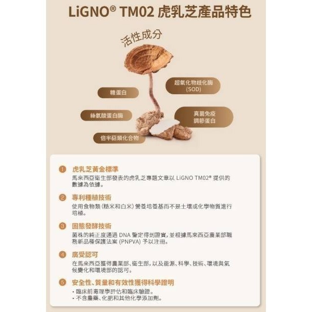 艾多美虎乳芝🍄‍🟫馬來西亞國寶級產品✅保證公司貨-細節圖4