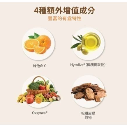 艾多美虎乳芝🍄‍🟫馬來西亞國寶級產品✅保證公司貨-細節圖6