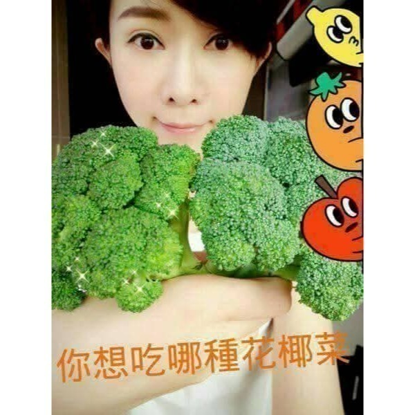 🌿艾多美碗盤蔬果洗潔液🌿台灣官網公司貨-細節圖4