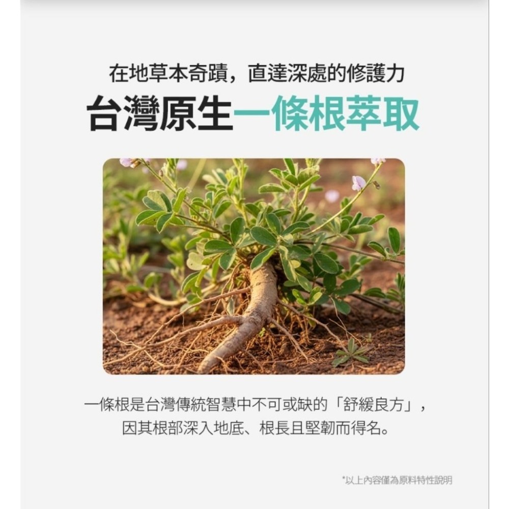 🍀台灣製 艾多美精油舒緩霜✅保證公司貨-細節圖2