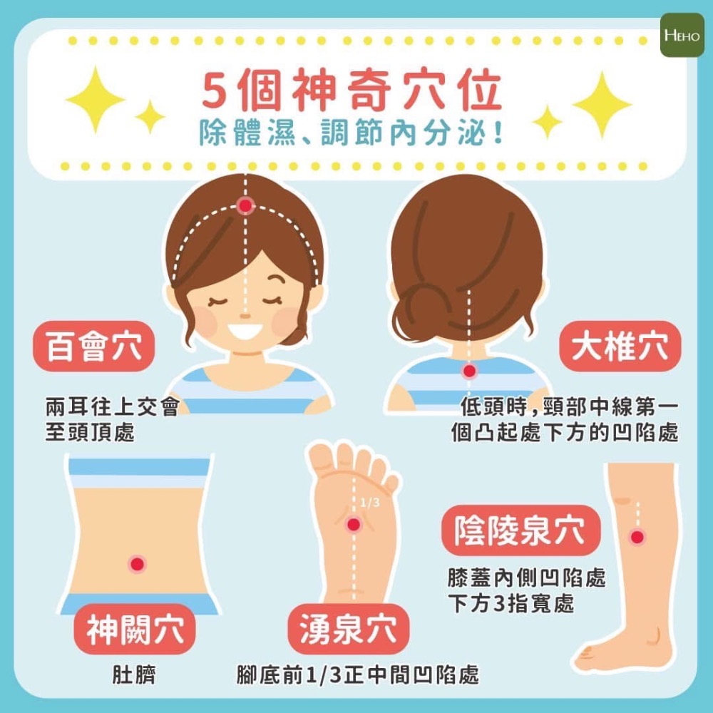 艾多美 精油 貼布 1盒(12包*5片) 草本精華舒緩-細節圖4