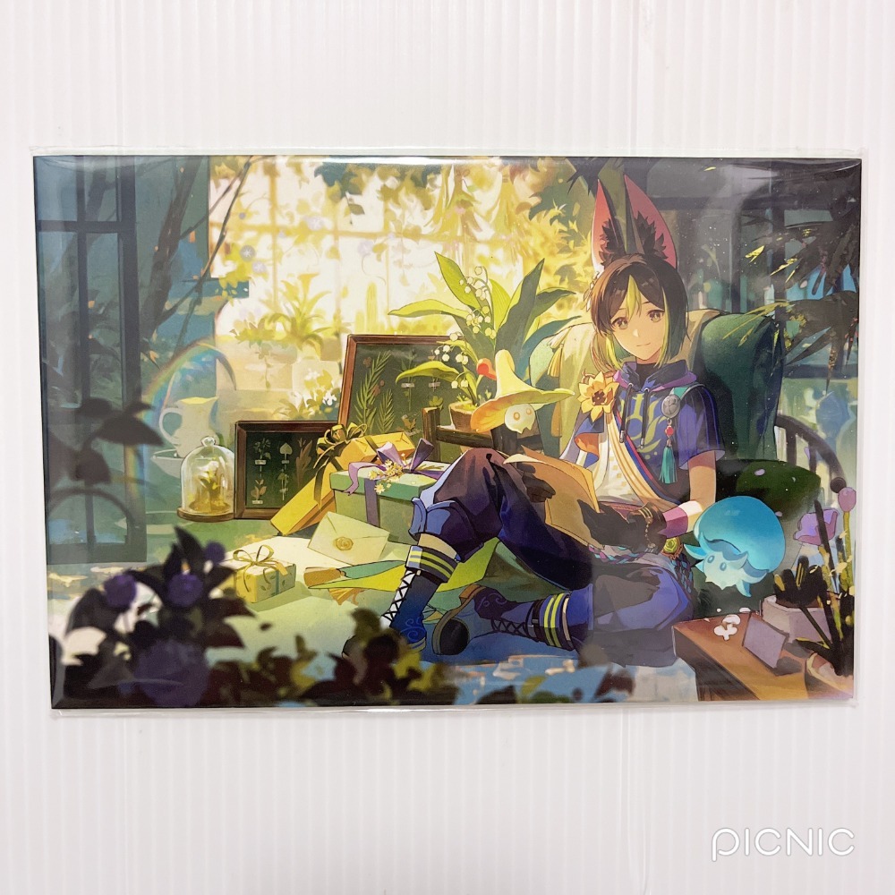 現貨🎐風精靈🎐原神同人｜提納里 須彌 拍立得 明信片 徽章 色紙 透卡 紙夾相卡 方卡 原神周邊 原神週邊-規格圖2