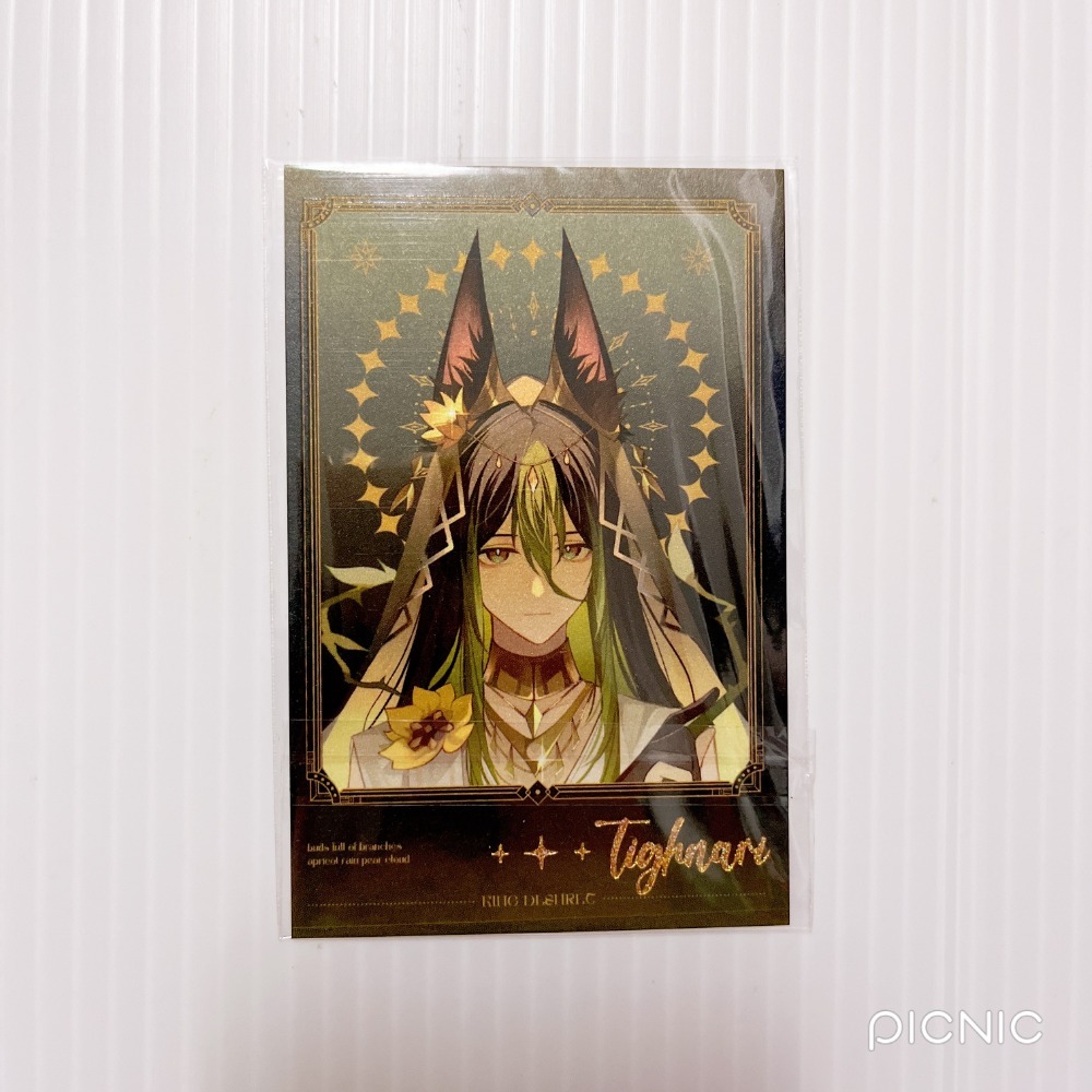 現貨🎐風精靈🎐原神同人｜提納里 須彌 拍立得 明信片 徽章 色紙 透卡 紙夾相卡 方卡 原神周邊 原神週邊-規格圖2