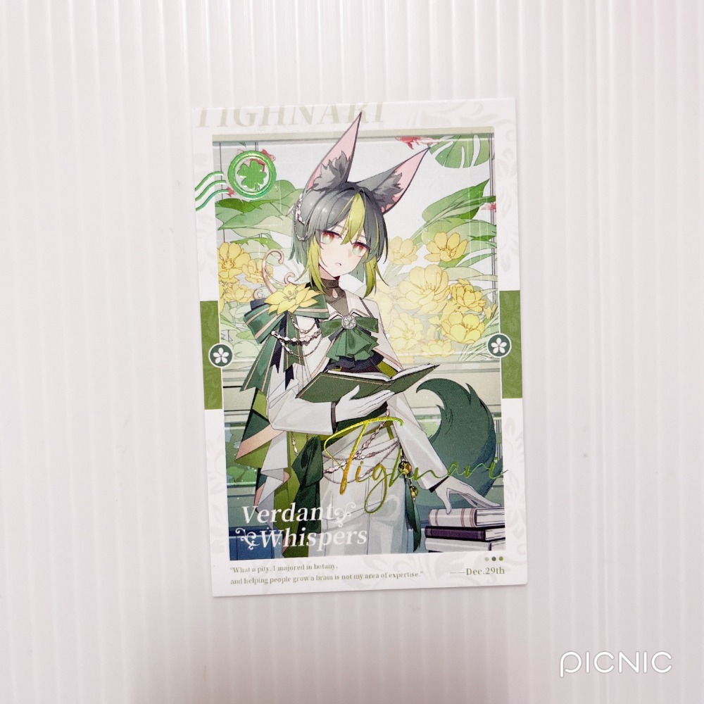 現貨🎐風精靈🎐原神同人｜提納里 須彌 拍立得 明信片 徽章 色紙 透卡 紙夾相卡 方卡 原神周邊 原神週邊-規格圖2