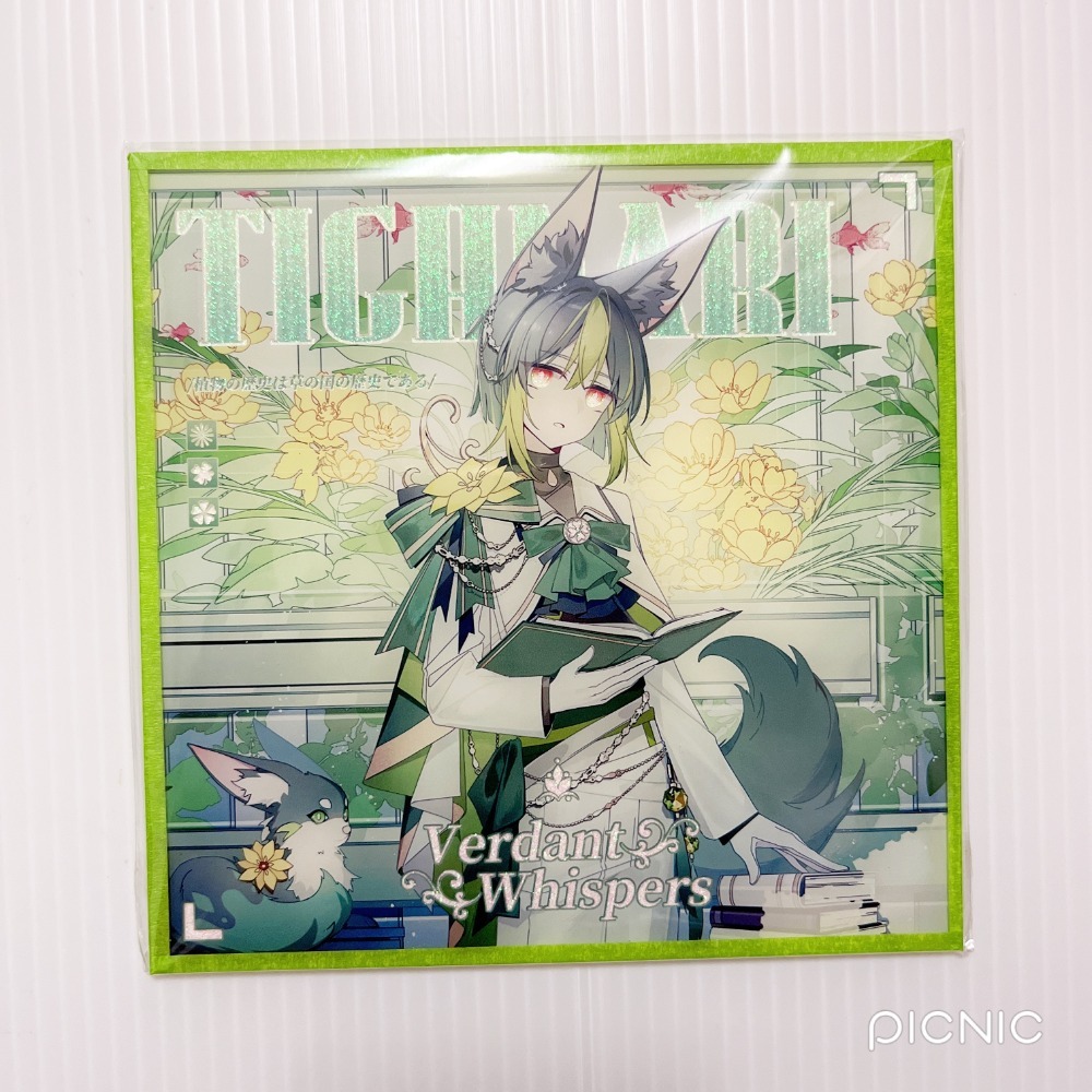 現貨🎐風精靈🎐原神同人｜提納里 須彌 拍立得 明信片 徽章 色紙 透卡 紙夾相卡 方卡 原神周邊 原神週邊-規格圖2