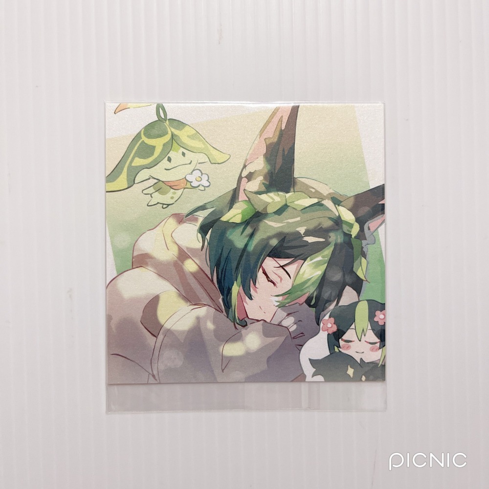 現貨🎐風精靈🎐原神同人｜提納里 須彌 拍立得 明信片 徽章 色紙 透卡 紙夾相卡 方卡 原神周邊 原神週邊-規格圖2