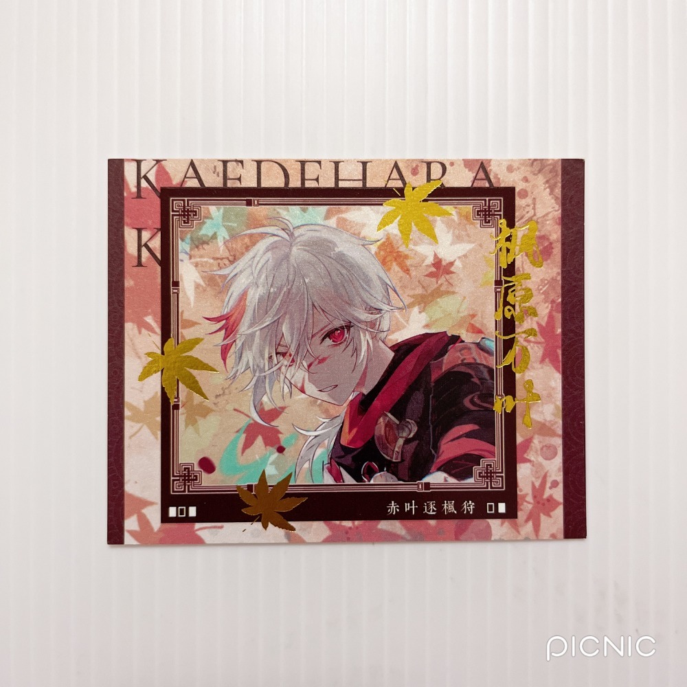 13 拍立得（有小撞角）