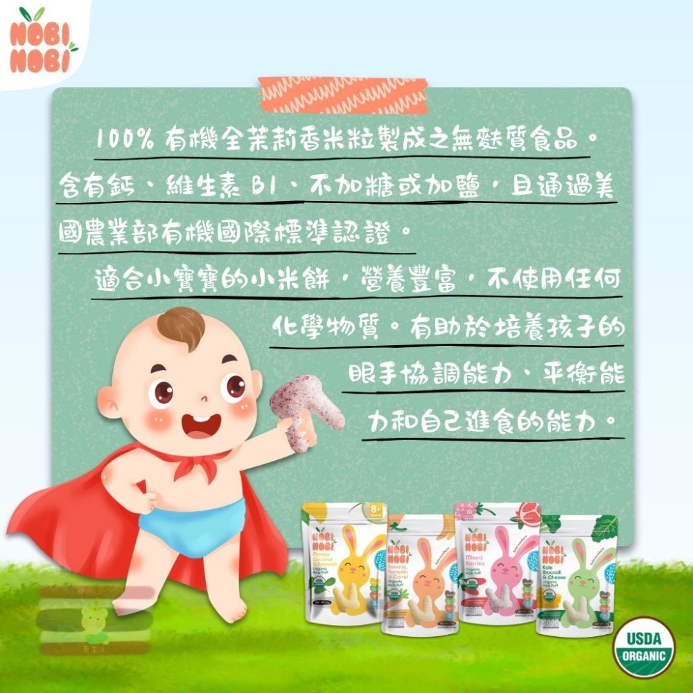 🇹🇭泰國 Nobi Nobi 有機嬰兒米餅(8M+)15g 美國USDA認證 清真 無過敏原 無麩質 非基改-細節圖2