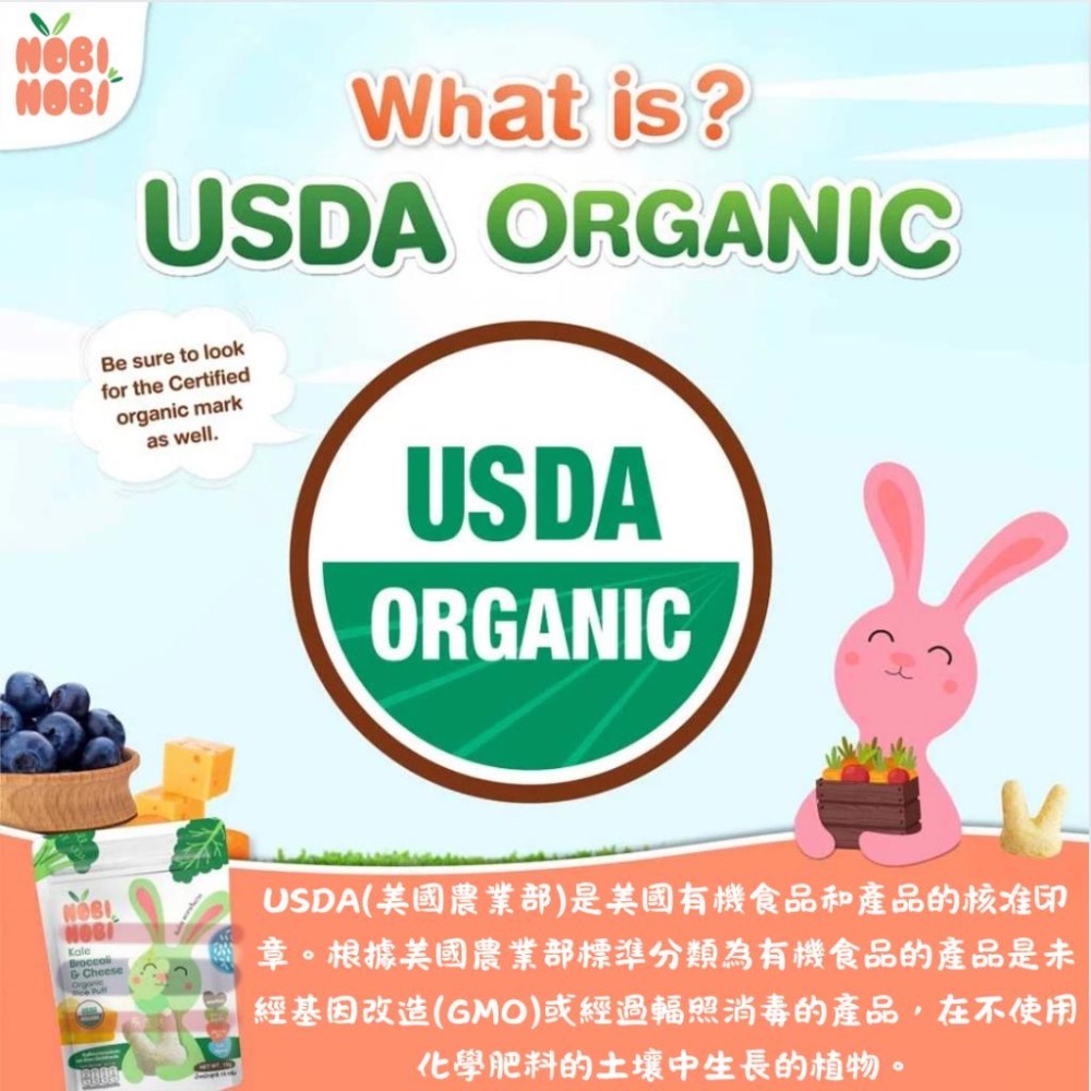 🇹🇭泰國 有機嬰兒米餅(8M+) 15g-細節圖2