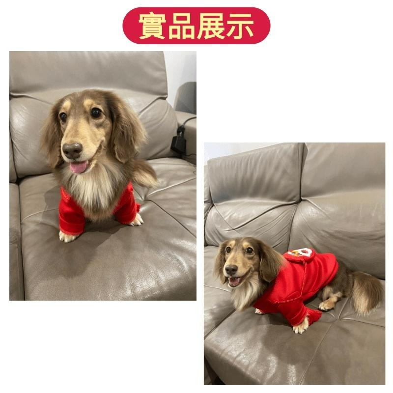 【台灣現貨 快速發出】 狗狗過年衣服 寵物過年衣服 寵物新年衣服 狗狗新年衣服 貓咪過年衣服 狗過年衣服 狗衣服-細節圖7