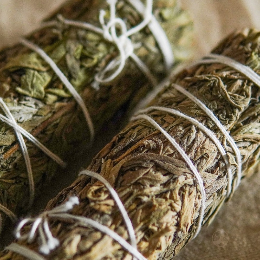 【療癒綠洲®】綠洲格羅鼠尾-細節圖2