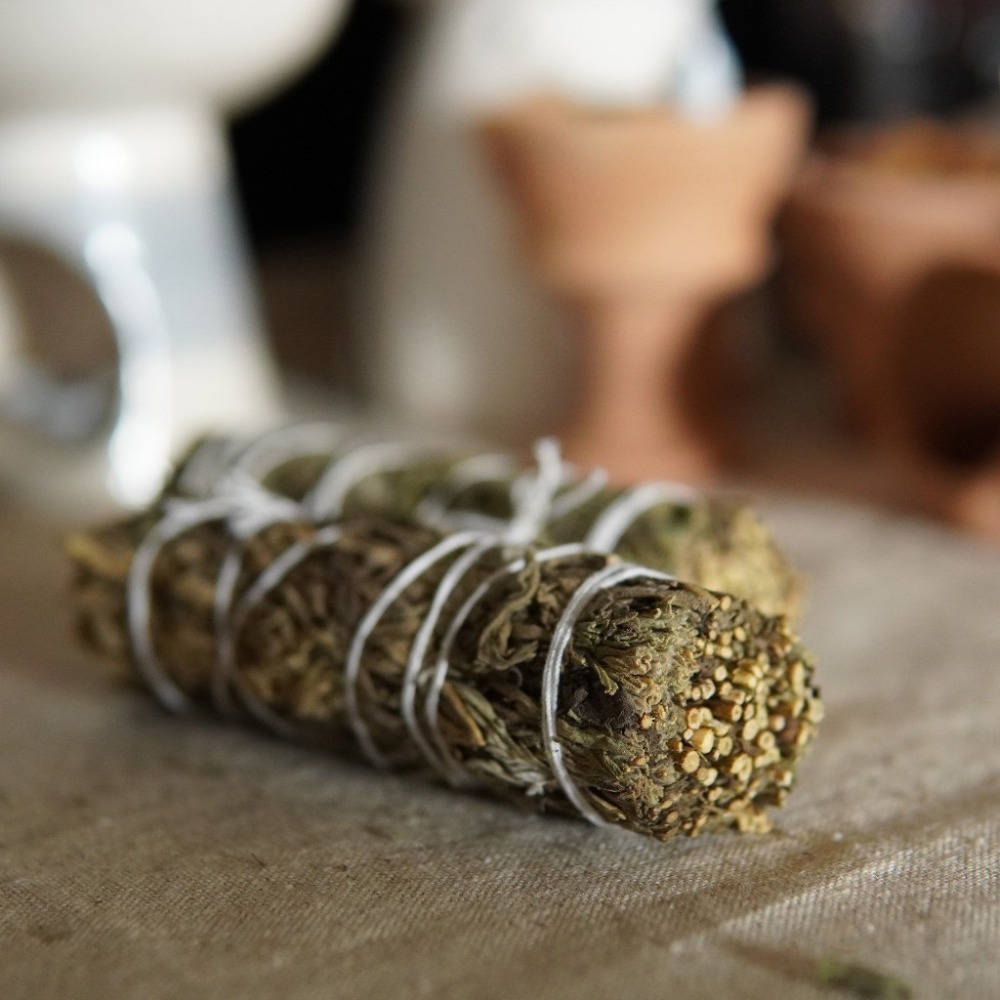 【療癒綠洲®】綠洲格羅鼠尾-細節圖3