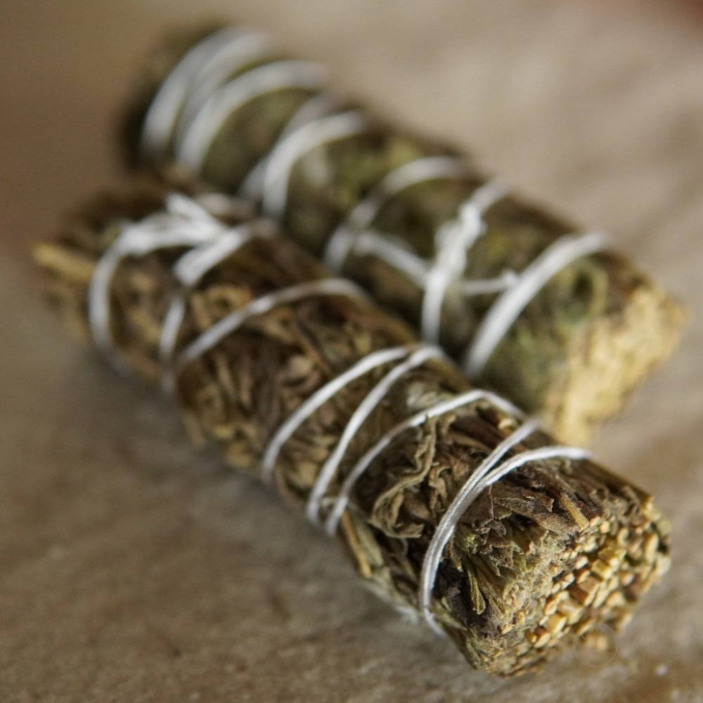 【療癒綠洲®】綠洲格羅鼠尾-細節圖4