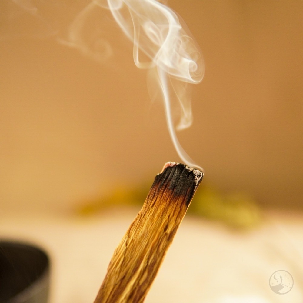 【療癒綠洲®】綠洲聖木條（深山自然循環採收、綠洲聖木之王）-細節圖2