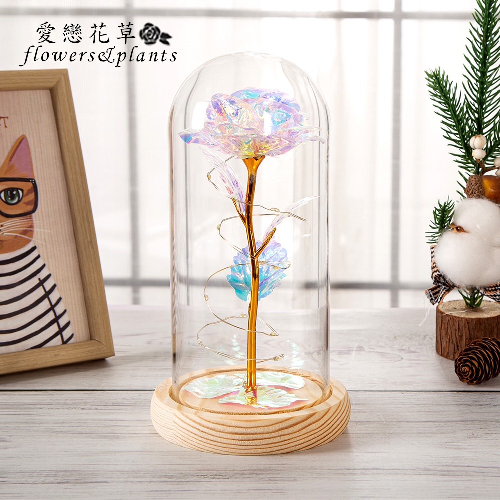 【愛戀花草】玫瑰永生花小夜燈 (七彩氛圍燈光LED、玻璃罩、D004)-細節圖2