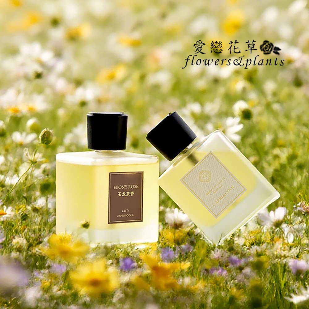 【愛戀花草】智能香氛自動擴香組 (500ML大容量、自動噴香技術、留香長達180天、D012)-細節圖3