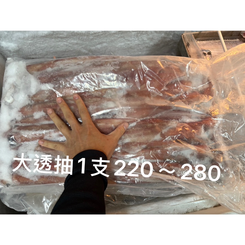 【磺港上岸】北海岸透抽_新鮮極速冷凍-細節圖5