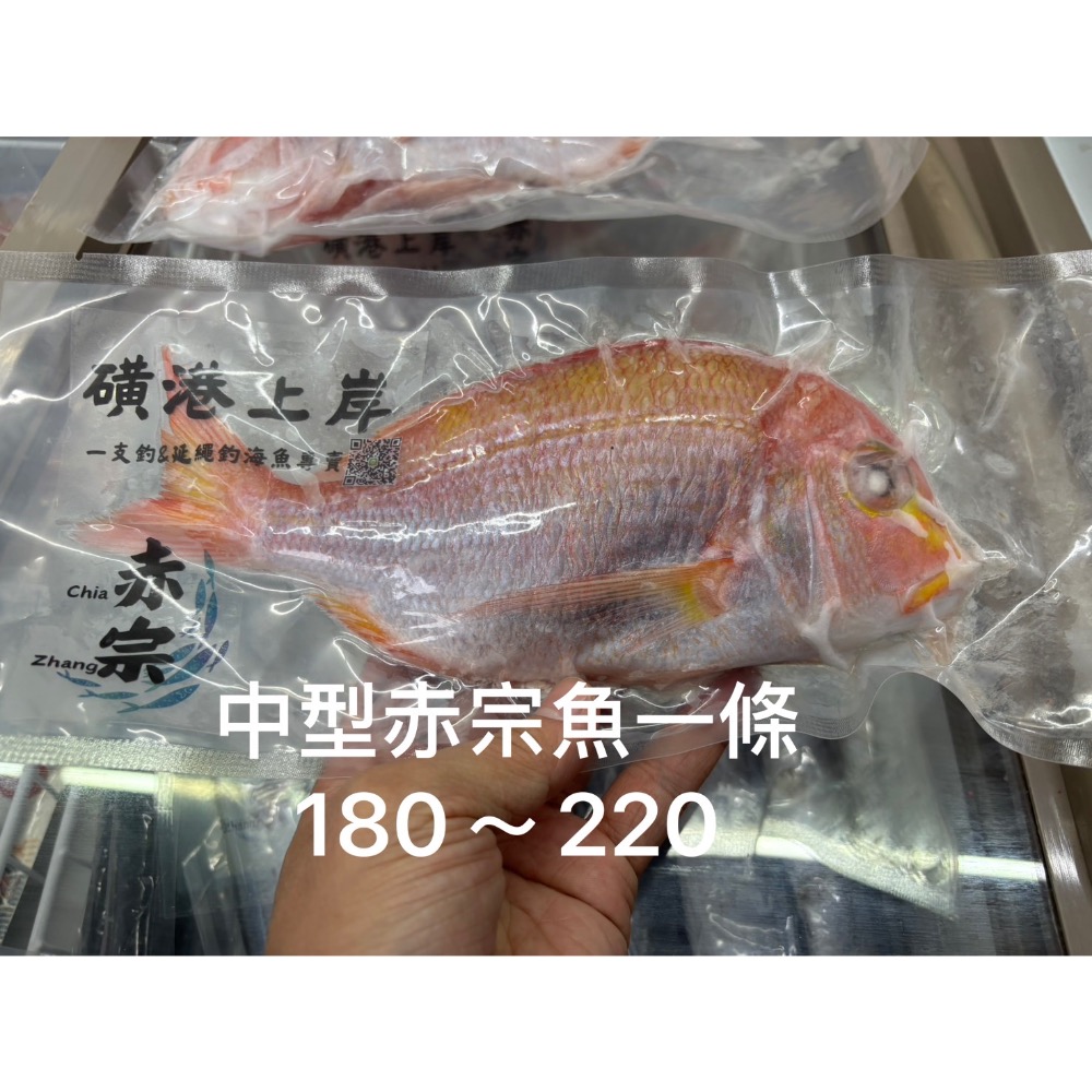 【磺港上岸】船釣赤宗-細節圖4