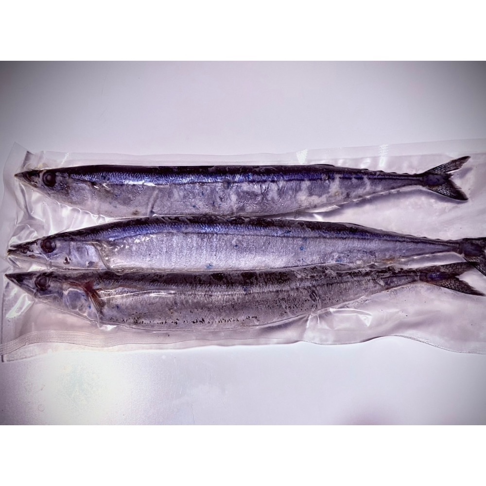 活凍特大秋刀魚-規格圖1
