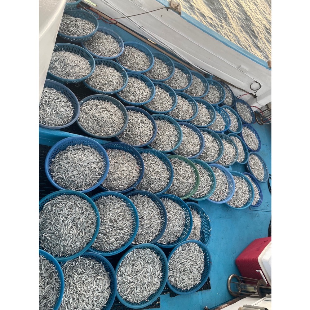 【磺港上岸】曬乾料仔魚-細節圖2