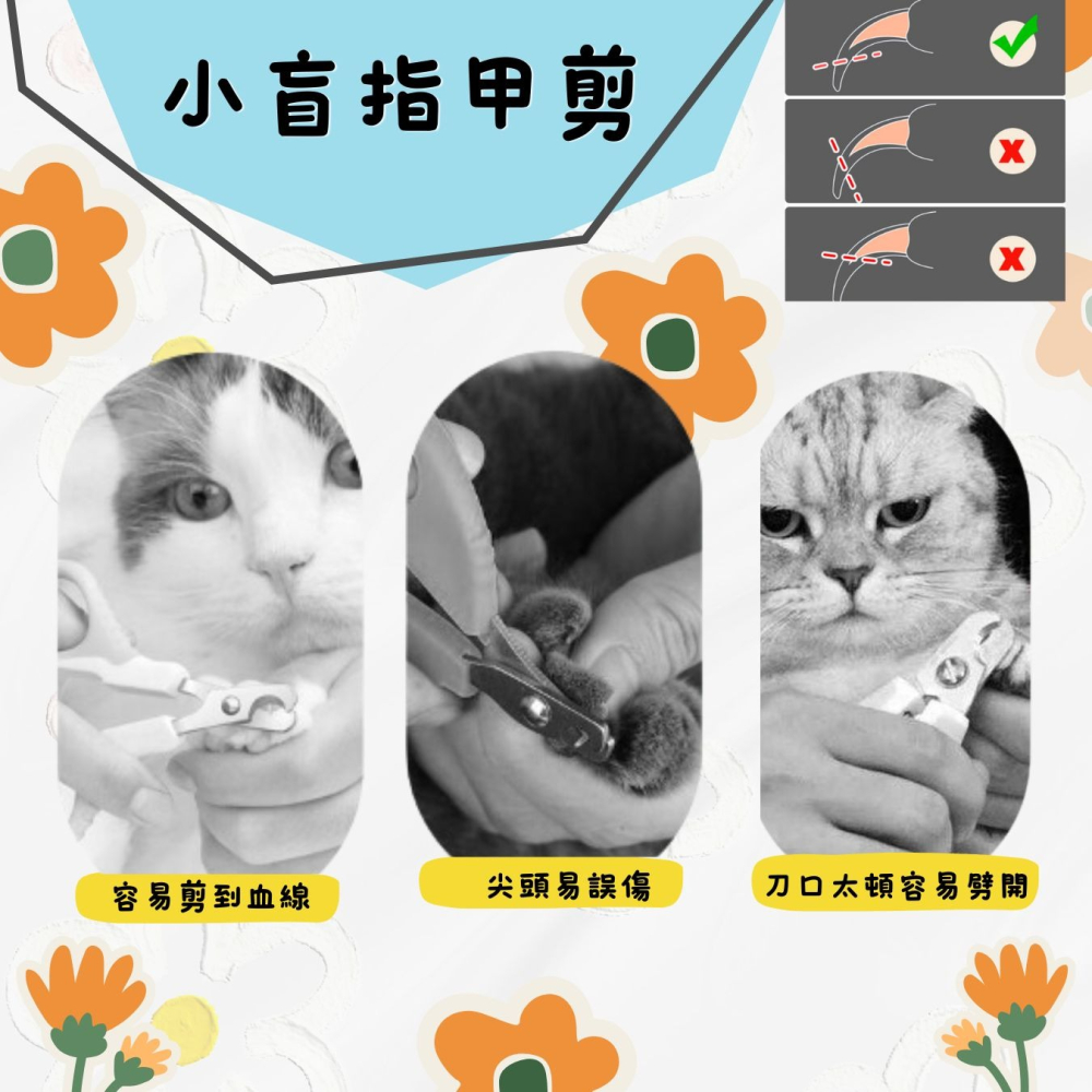 圓孔寵物小盲剪 新手指甲剪 防剪血線 貓咪指甲剪 犬貓專用  剪指甲神器 寵物用品-細節圖5