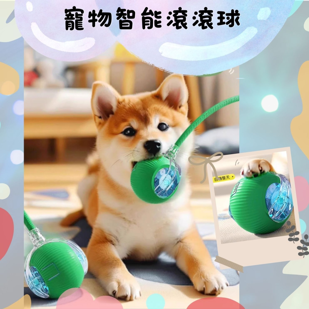 貓咪狗狗寵物玩具球 充電自嗨球 解悶逗貓球 貓狗追逐玩具神器  電動逗貓-細節圖7