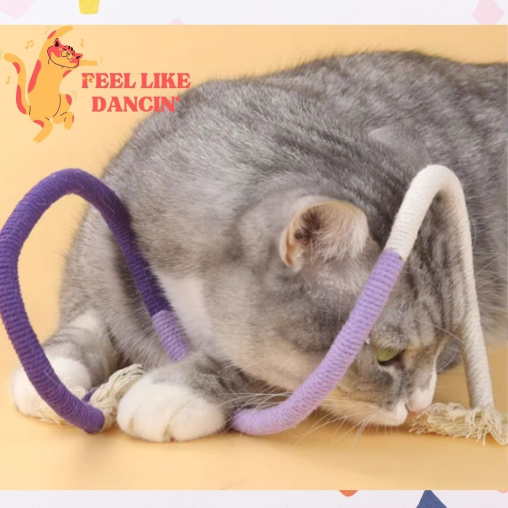 蟲癭果咬咬繩貓玩具 磨牙 自嗨解悶 耐咬 蟲癭果靜音逗貓神器 貓咪咬咬繩 磨牙 棉繩玩具-細節圖5