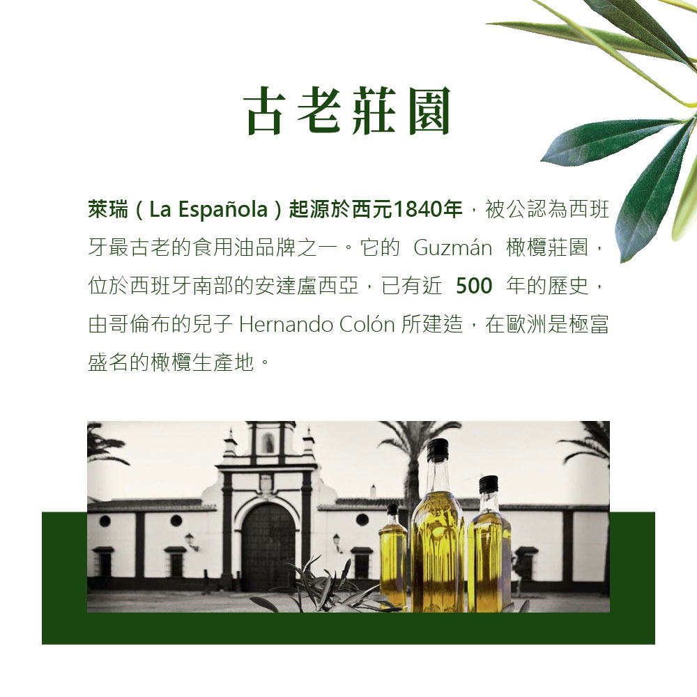 DIH-萊瑞冷壓初榨特級100%純橄欖油(1000ml )*2瓶-細節圖3