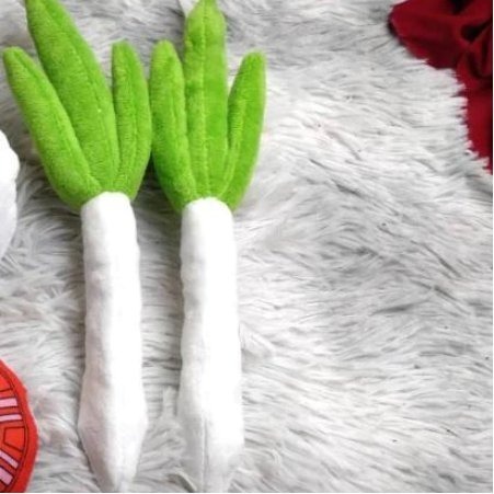 葱２個 (無掛帶)