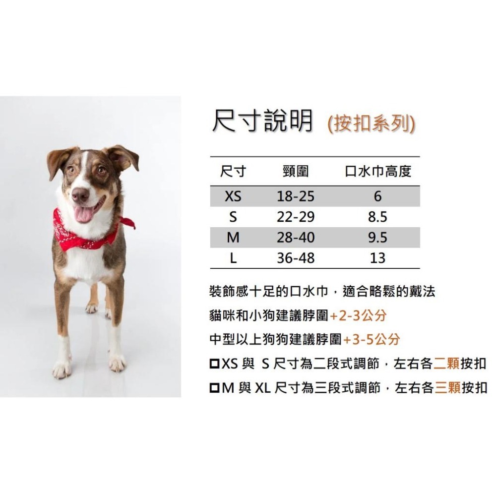 寵物領巾 狗領巾 貓領巾 寵物項圈 寵物口水巾 【KC36 ND01】台灣現貨 iBuddy 粉紅佳人領巾-細節圖5