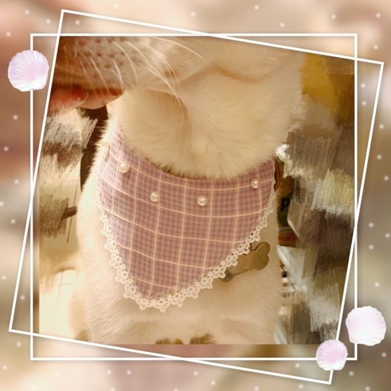 寵物領巾 狗領巾 貓領巾 寵物項圈 寵物口水巾 【KC36 ND01】台灣現貨 iBuddy 粉紅佳人領巾-細節圖7