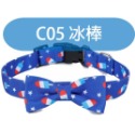 C05 冰棒