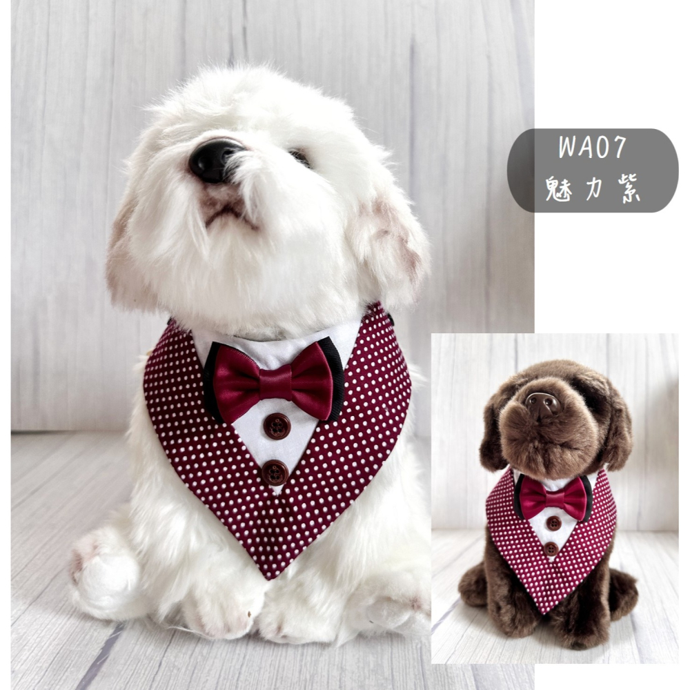 寵物婚禮領巾 寵物西裝婚紗 西服蕾絲領巾 結婚 擺拍 外拍 婚紗照 婚禮【KC36WA03】iBuddy 藍條西服-細節圖9