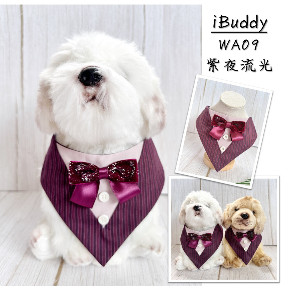 寵物婚禮領巾 狗領巾 寵物西裝婚紗 西服蕾絲領巾 結婚 擺拍 外拍 白紗 婚紗照 婚禮【KC36WA】iBuddy-細節圖6