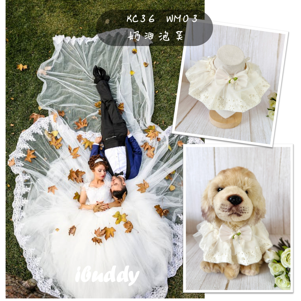 寵物婚禮領巾 狗領巾 寵物西裝婚紗 西服蕾絲領巾 結婚 擺拍 外拍 白紗 婚紗照 婚禮【KC36WA】iBuddy-細節圖8