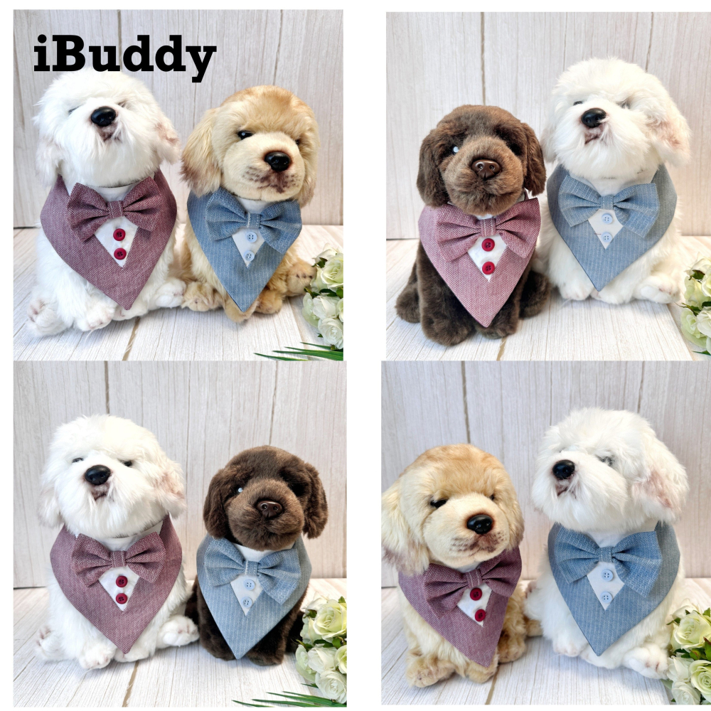 寵物婚禮領巾 狗領巾 寵物西裝婚紗 西服蕾絲領巾 結婚 擺拍 外拍 白紗 婚紗照 婚禮【KC36WA】iBuddy-細節圖2