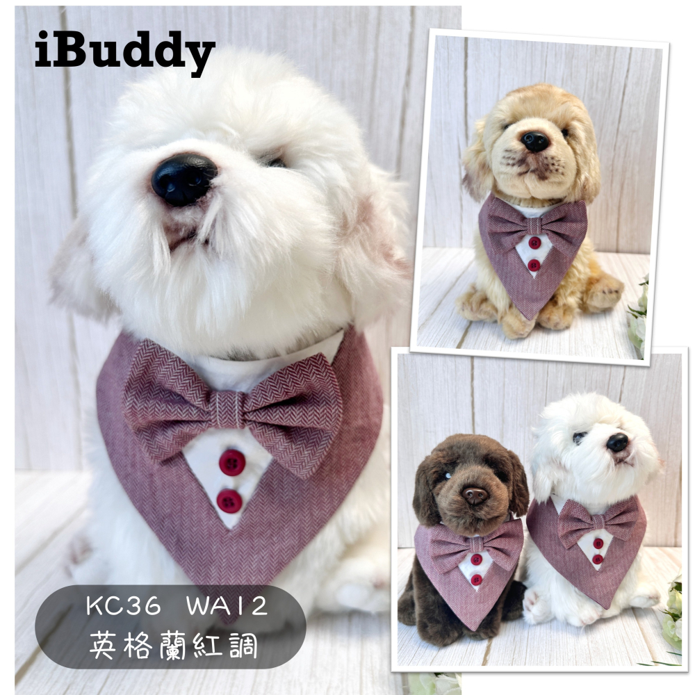 寵物婚禮領巾 狗領巾 寵物西裝婚紗 西服蕾絲領巾 結婚 擺拍 外拍 白紗 婚紗照 婚禮【KC36WA】iBuddy-細節圖6