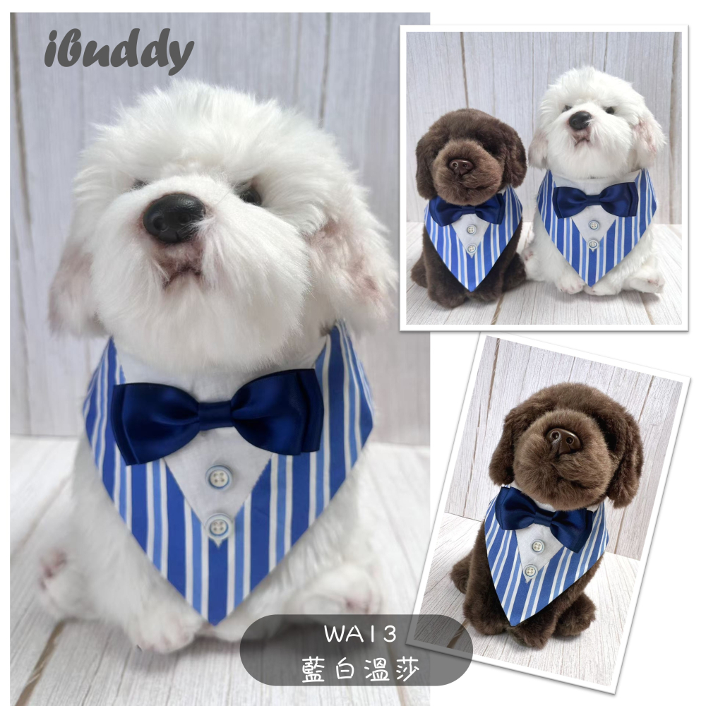 寵物婚禮領巾 狗領巾 寵物西裝婚紗 西服蕾絲領巾 結婚 擺拍 外拍 白紗 婚紗照 婚禮【KC36WA】iBuddy-細節圖2