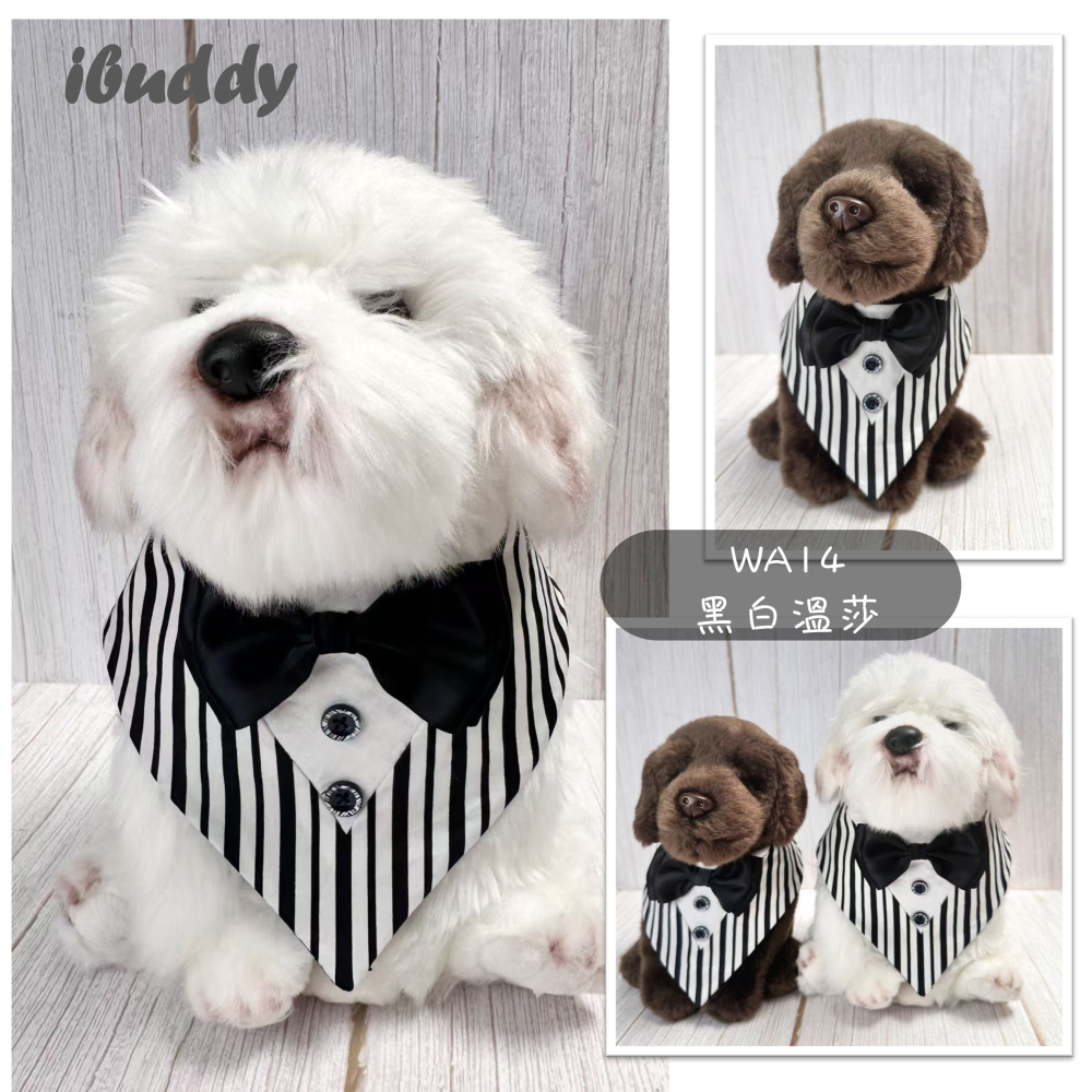 寵物婚禮領巾 狗領巾 寵物西裝婚紗 西服蕾絲領巾 結婚 擺拍 外拍 白紗 婚紗照 婚禮【KC36WA】iBuddy-細節圖4