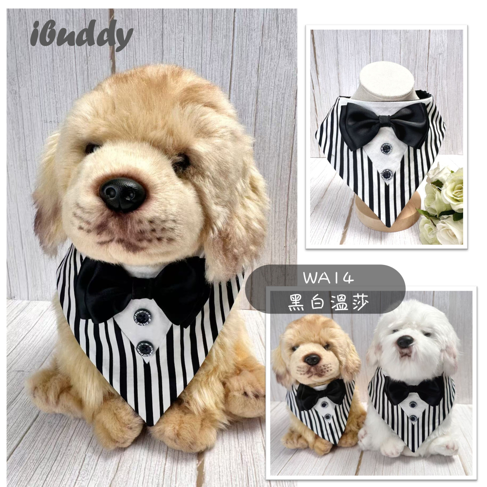 寵物婚禮領巾 狗領巾 寵物西裝婚紗 西服蕾絲領巾 結婚 擺拍 外拍 白紗 婚紗照 婚禮【KC36WA】iBuddy-細節圖5