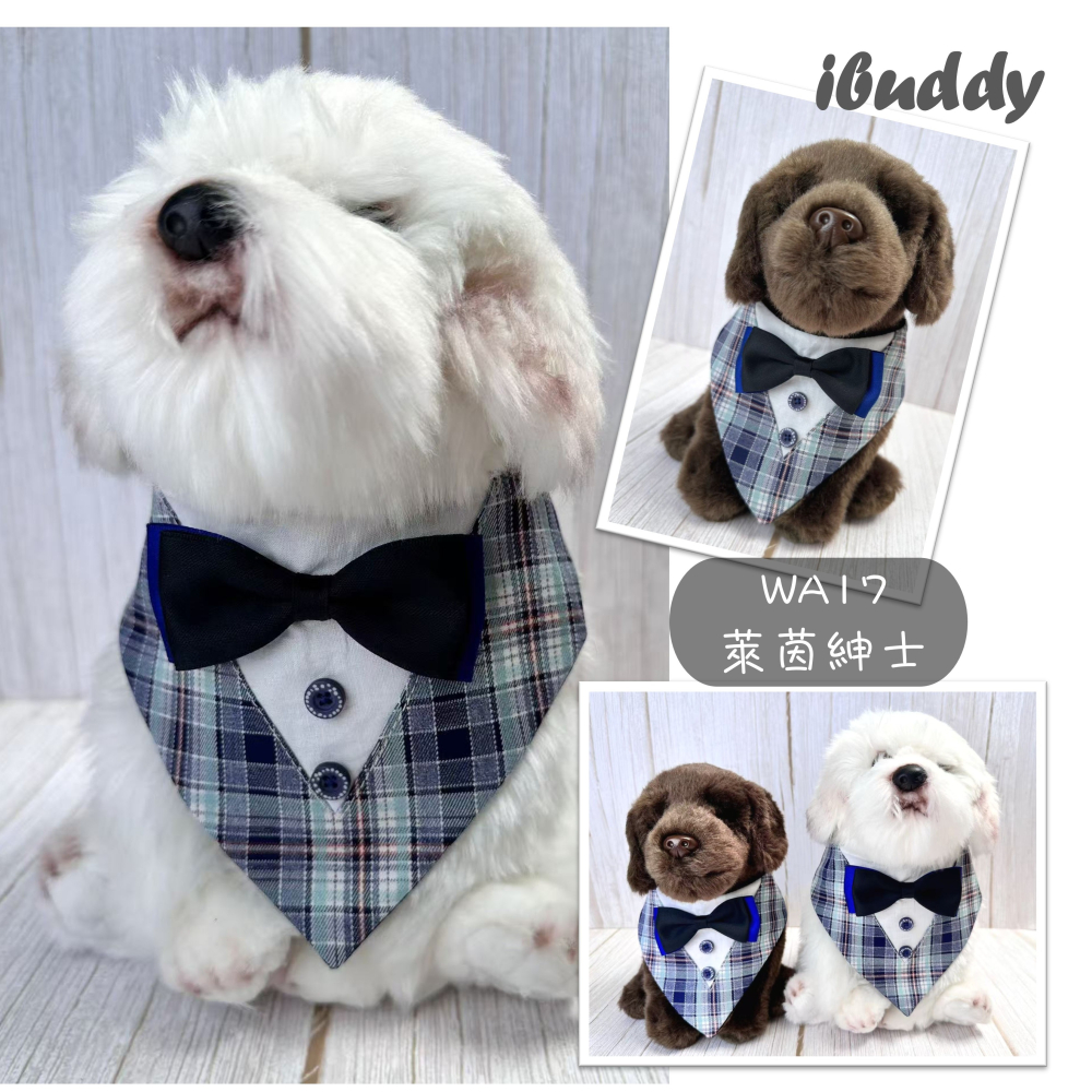 寵物婚禮領巾 狗領巾 寵物西裝婚紗 西服蕾絲領巾 結婚 擺拍 外拍 白紗 婚紗照 婚禮【KC36WA】iBuddy-細節圖4