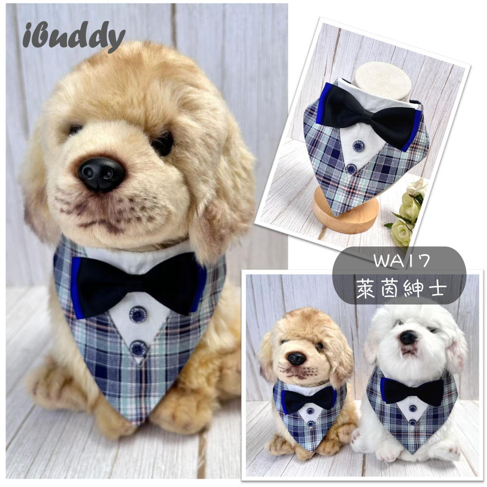 寵物婚禮領巾 狗領巾 寵物西裝婚紗 西服蕾絲領巾 結婚 擺拍 外拍 白紗 婚紗照 婚禮【KC36WA】iBuddy-細節圖5