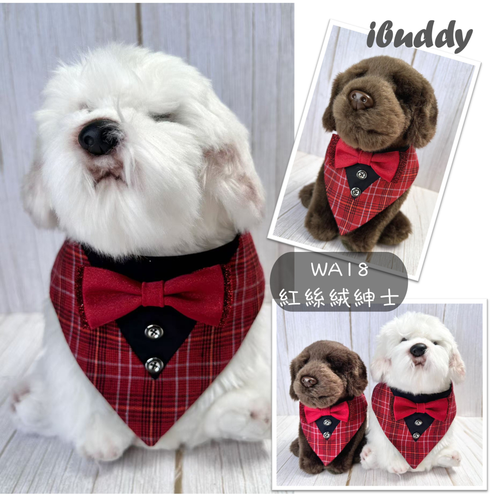 寵物婚禮領巾 狗領巾 寵物西裝婚紗 西服蕾絲領巾 結婚 擺拍 外拍 白紗 婚紗照 婚禮【KC36WA】iBuddy-細節圖6